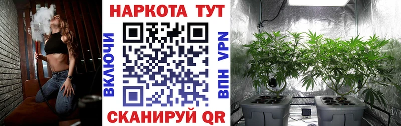 Все наркотики Алейск Лсд 25  блэк спрут сайт  ГАШ  Альфа ПВП  Каннабис  МЕФ  Амфетамин  COCAIN  Псилоцибиновые грибы 