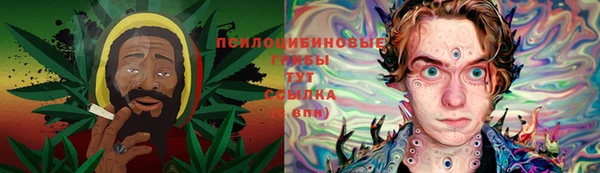 гидропоника Абаза