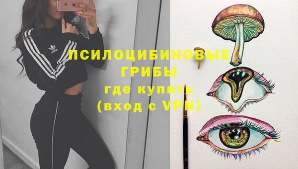 гидропоника Абаза