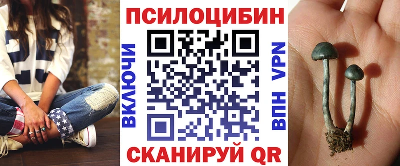 гидра зеркало  Алейск  Галлюциногенные грибы MAGIC MUSHROOMS 