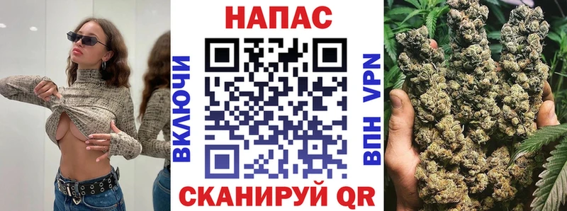 как найти   Алейск  Шишки марихуана планчик 